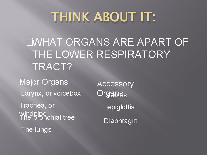 THINK ABOUT IT: �WHAT ORGANS ARE APART OF THE LOWER RESPIRATORY TRACT? Major Organs THINK ABOUT IT: �WHAT ORGANS ARE APART OF THE LOWER RESPIRATORY TRACT? Major Organs