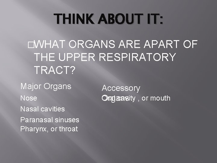 THINK ABOUT IT: �WHAT ORGANS ARE APART OF THE UPPER RESPIRATORY TRACT? Major Organs THINK ABOUT IT: �WHAT ORGANS ARE APART OF THE UPPER RESPIRATORY TRACT? Major Organs