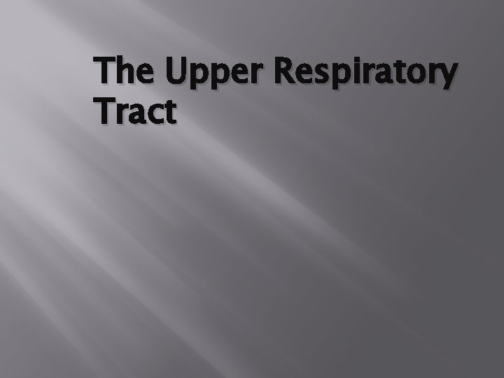 The Upper Respiratory Tract The Upper Respiratory Tract