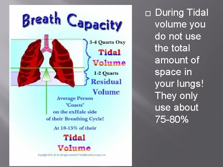 � During Tidal volume you do not use the total amount of space in � During Tidal volume you do not use the total amount of space in