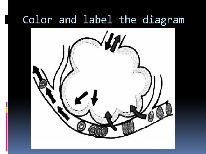 Color and label the diagram Color and label the diagram