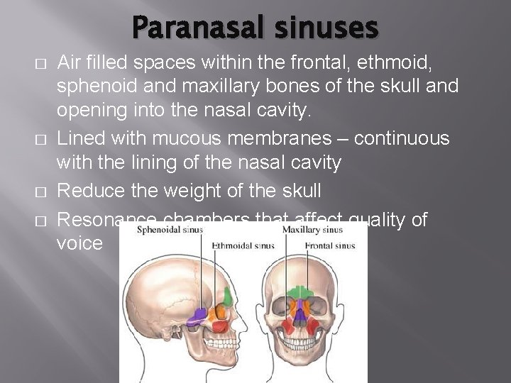 Paranasal sinuses � � Air filled spaces within the frontal, ethmoid, sphenoid and maxillary Paranasal sinuses � � Air filled spaces within the frontal, ethmoid, sphenoid and maxillary