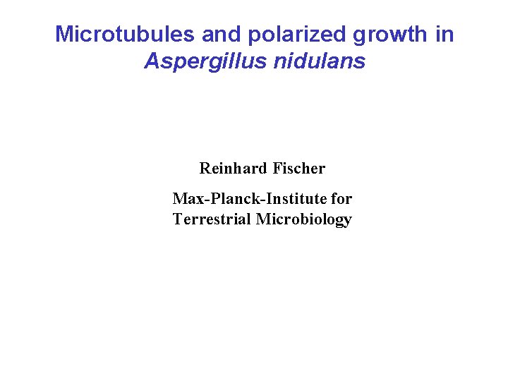 Microtubules and polarized growth in Aspergillus nidulans Reinhard Fischer Max-Planck-Institute for Terrestrial Microbiology 