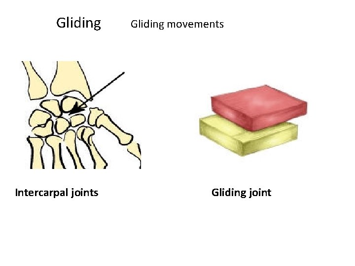 Gliding Intercarpal joints Gliding movements Gliding joint 