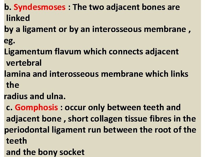 b. Syndesmoses : The two adjacent bones are linked by a ligament or by