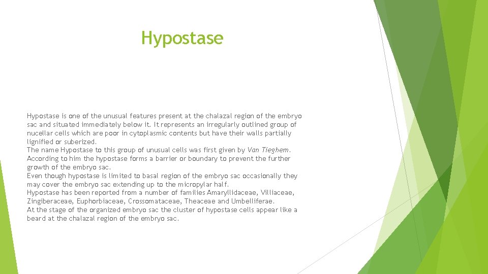 Hypostase is one of the unusual features present at the chalazal region of the