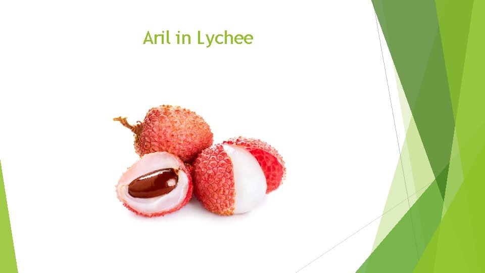 Aril in Lychee 