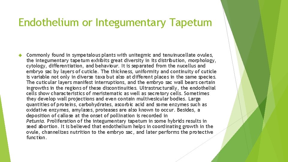 Endothelium or Integumentary Tapetum Commonly found in sympetalous plants with unitegmic and tenuinucellate ovules,