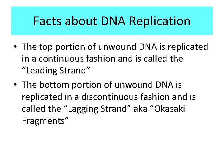 Facts about DNA Replication • The top portion of unwound DNA is replicated in