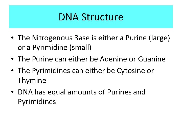 DNA Structure • The Nitrogenous Base is either a Purine (large) or a Pyrimidine