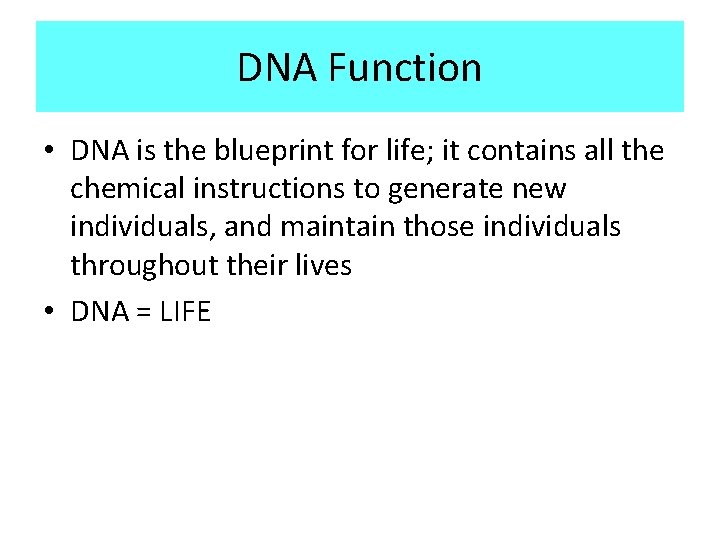 DNA Function • DNA is the blueprint for life; it contains all the chemical