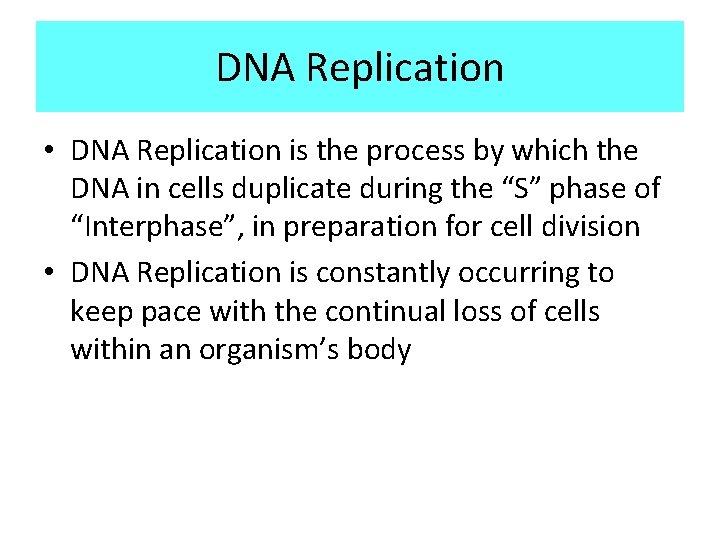 DNA Replication • DNA Replication is the process by which the DNA in cells