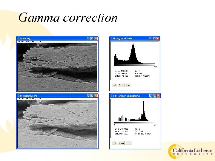 Gamma correction 