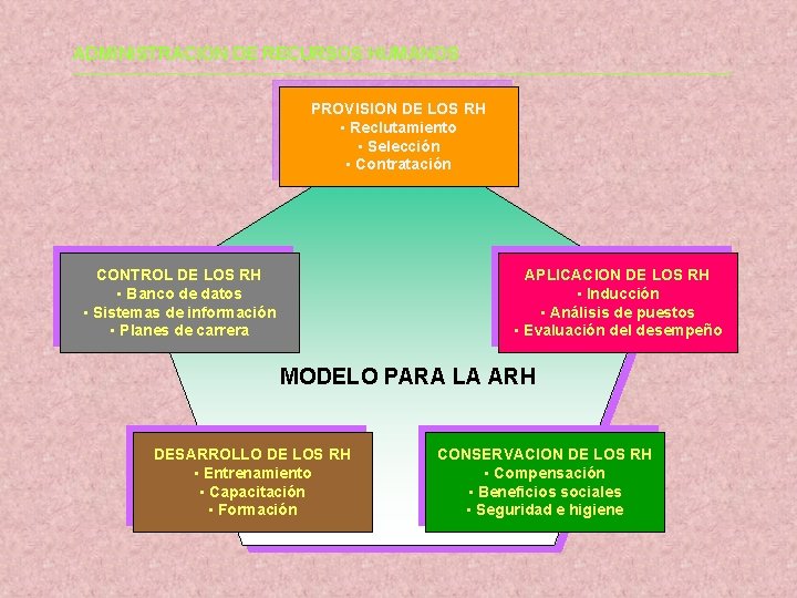 ADMINISTRACION DE RECURSOS HUMANOS PROVISION DE LOS RH • Reclutamiento • Selección • Contratación