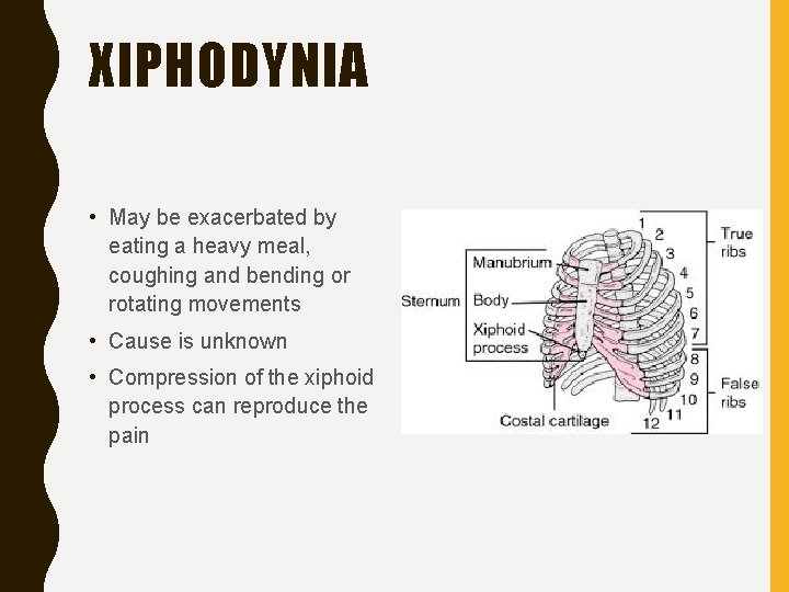 XIPHODYNIA • May be exacerbated by eating a heavy meal, coughing and bending or