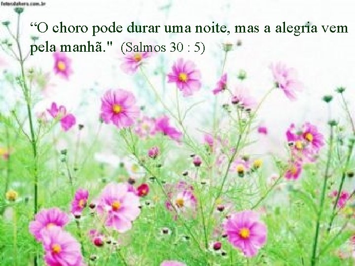 “O choro pode durar uma noite, mas a alegria vem pela manhã. " (Salmos