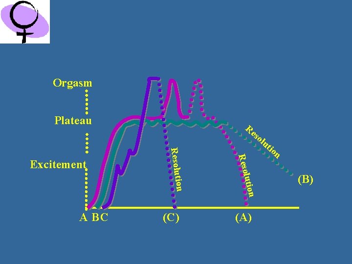 Female Sexual Response Cycle Orgasm Plateau Re so (C) tion n A BC u