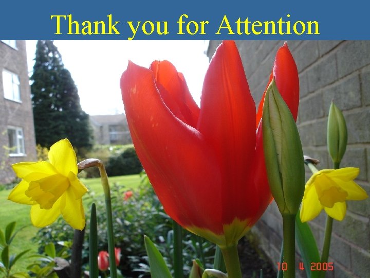 Thank you for Attention 