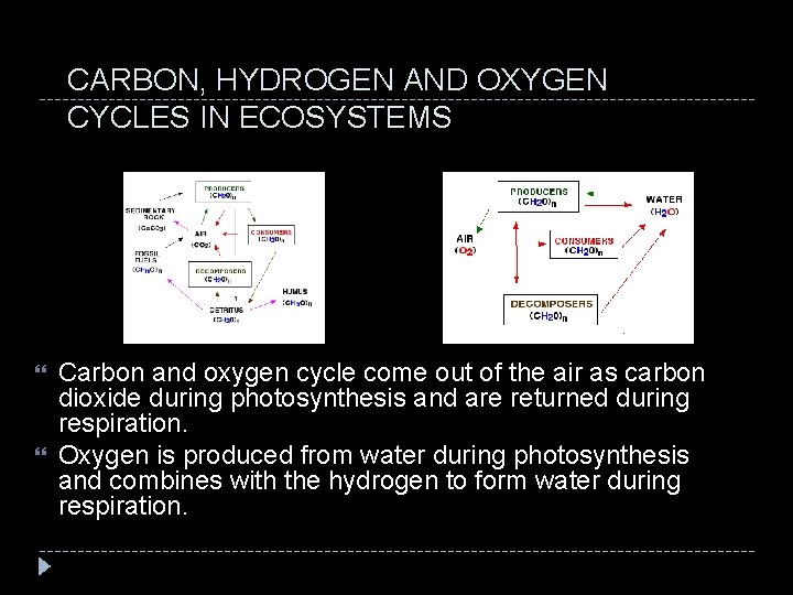 CARBON, HYDROGEN AND OXYGEN CYCLES IN ECOSYSTEMS Carbon and oxygen cycle come out of