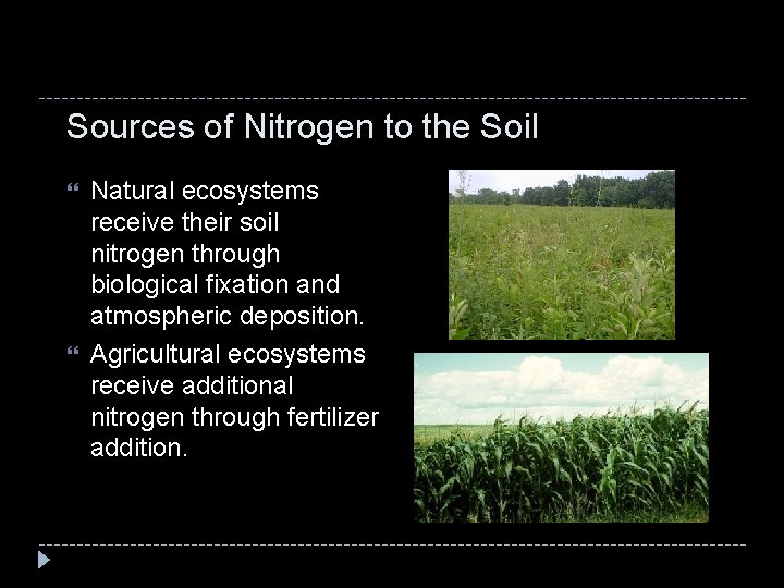 Sources of Nitrogen to the Soil Natural ecosystems receive their soil nitrogen through biological
