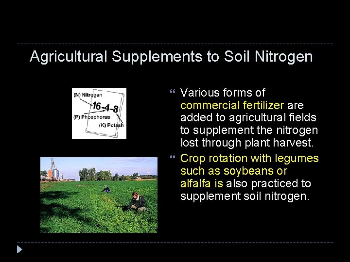 Agricultural Supplements to Soil Nitrogen Various forms of commercial fertilizer are added to agricultural