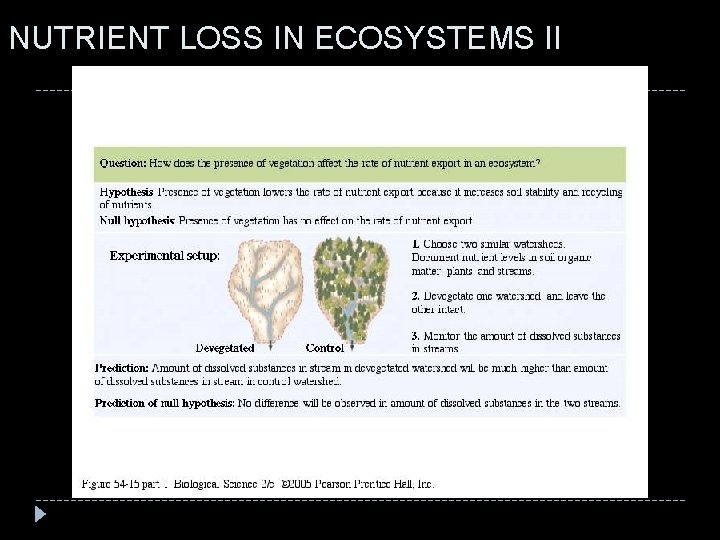 NUTRIENT LOSS IN ECOSYSTEMS II 