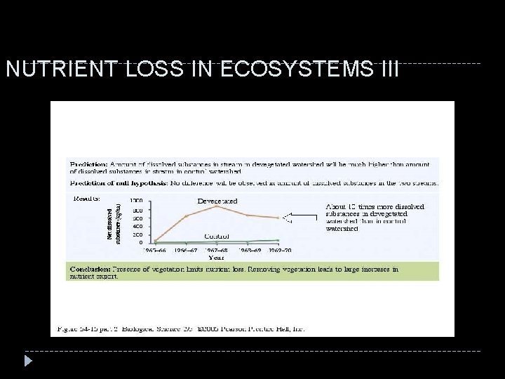 NUTRIENT LOSS IN ECOSYSTEMS III 