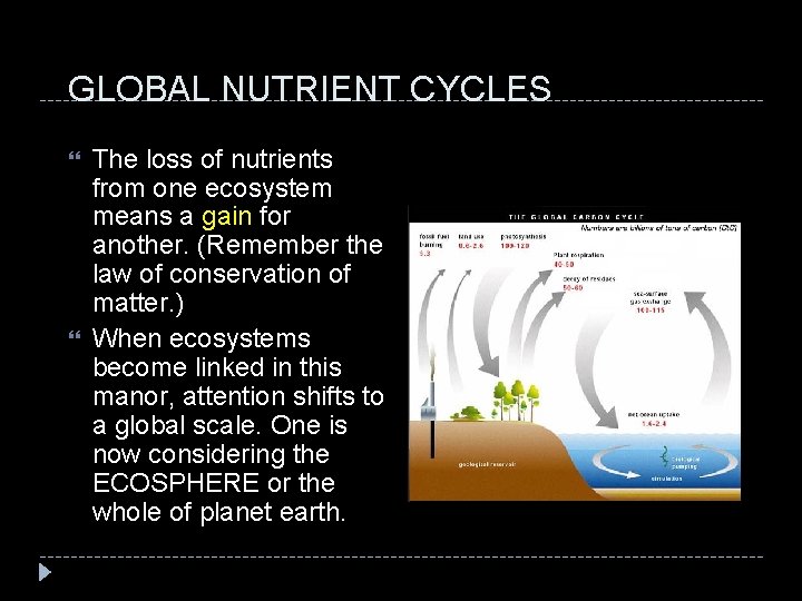 GLOBAL NUTRIENT CYCLES The loss of nutrients from one ecosystem means a gain for