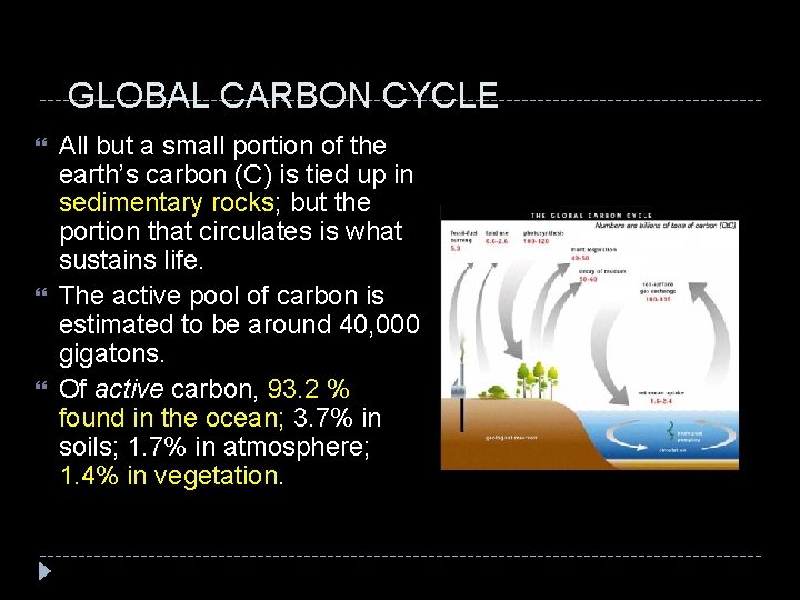 GLOBAL CARBON CYCLE All but a small portion of the earth’s carbon (C) is