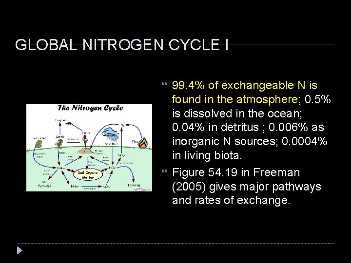 GLOBAL NITROGEN CYCLE I 99. 4% of exchangeable N is found in the atmosphere;