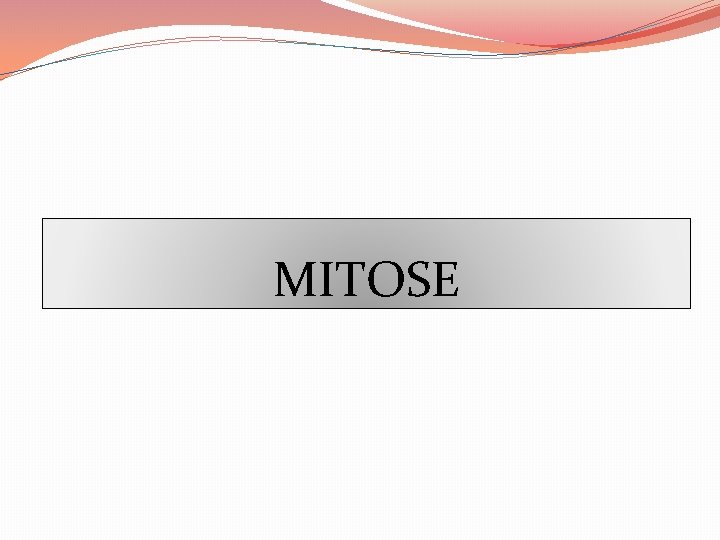 MITOSE MITOSE