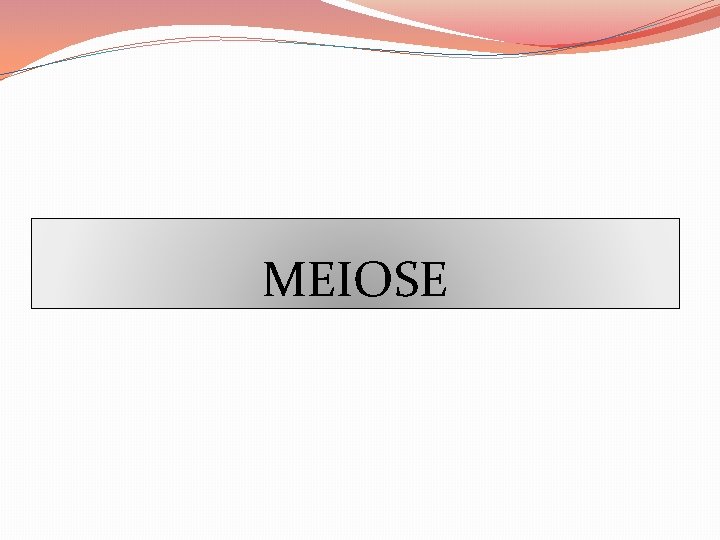 MEIOSE 