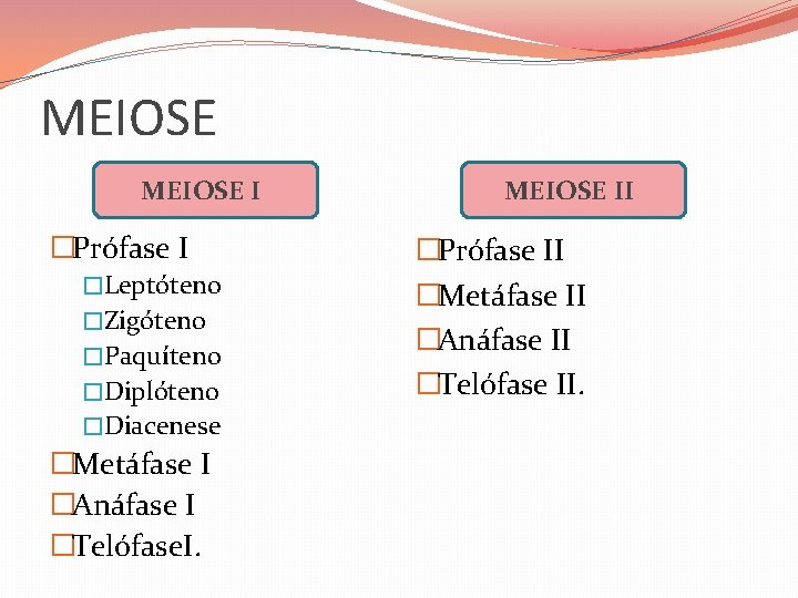 MEIOSE I �Prófase I �Leptóteno �Zigóteno �Paquíteno �Diplóteno �Diacenese �Metáfase I �Anáfase I �Telófase.