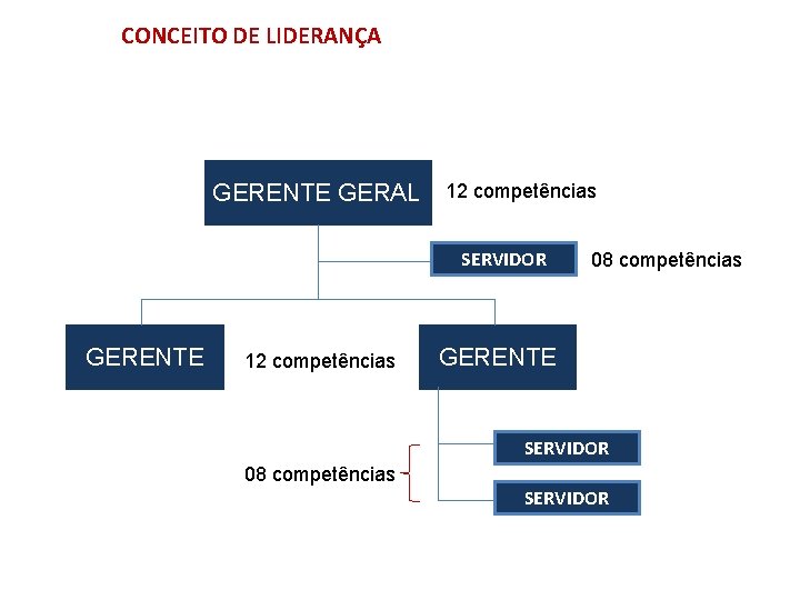 CONCEITO DE LIDERANÇA GERENTE GERAL 12 competências SERVIDOR GERENTE 12 competências 08 competências GERENTE