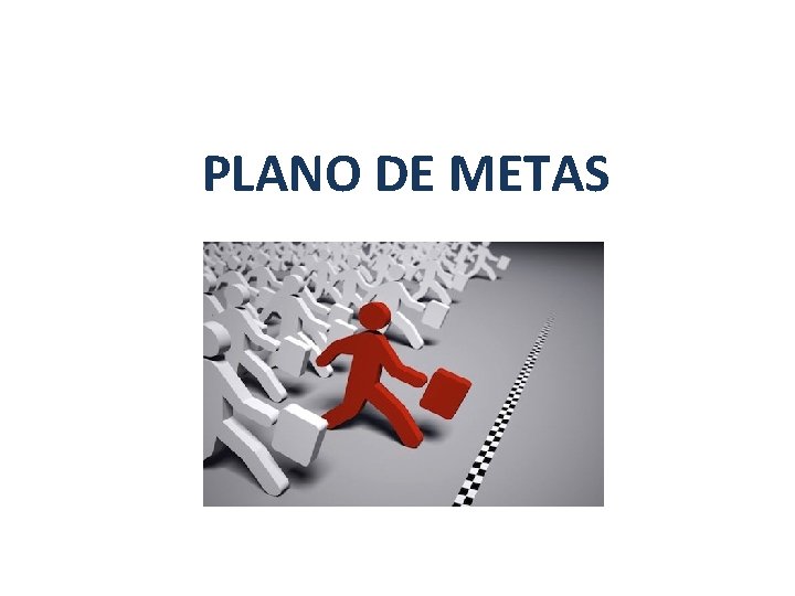 PLANO DE METAS 