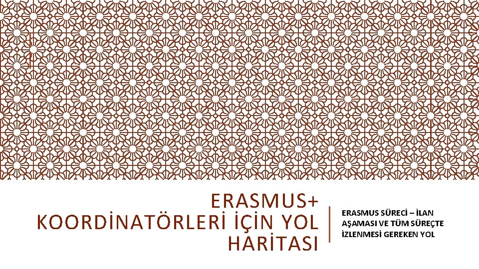 ERASMUS+ KOORDİNATÖRLERİ İÇİN YOL HARİTASI ERASMUS SÜRECİ – İLAN AŞAMASI VE TÜM SÜREÇTE İZLENMESİ