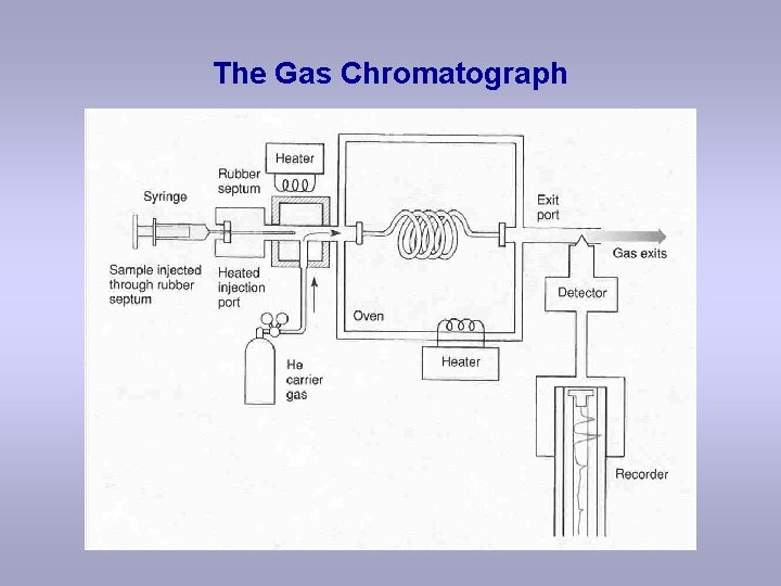 The Gas Chromatograph 