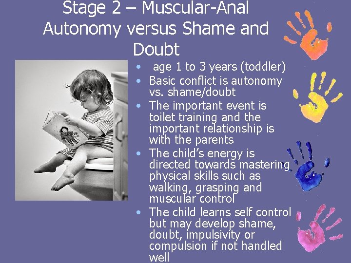Stage 2 – Muscular-Anal Autonomy versus Shame and Doubt • age 1 to 3 Stage 2 – Muscular-Anal Autonomy versus Shame and Doubt • age 1 to 3