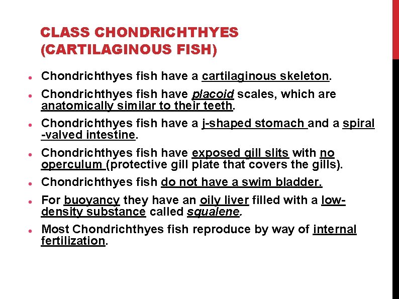 CLASS CHONDRICHTHYES (CARTILAGINOUS FISH) Chondrichthyes fish have a cartilaginous skeleton. Chondrichthyes fish have placoid CLASS CHONDRICHTHYES (CARTILAGINOUS FISH) Chondrichthyes fish have a cartilaginous skeleton. Chondrichthyes fish have placoid