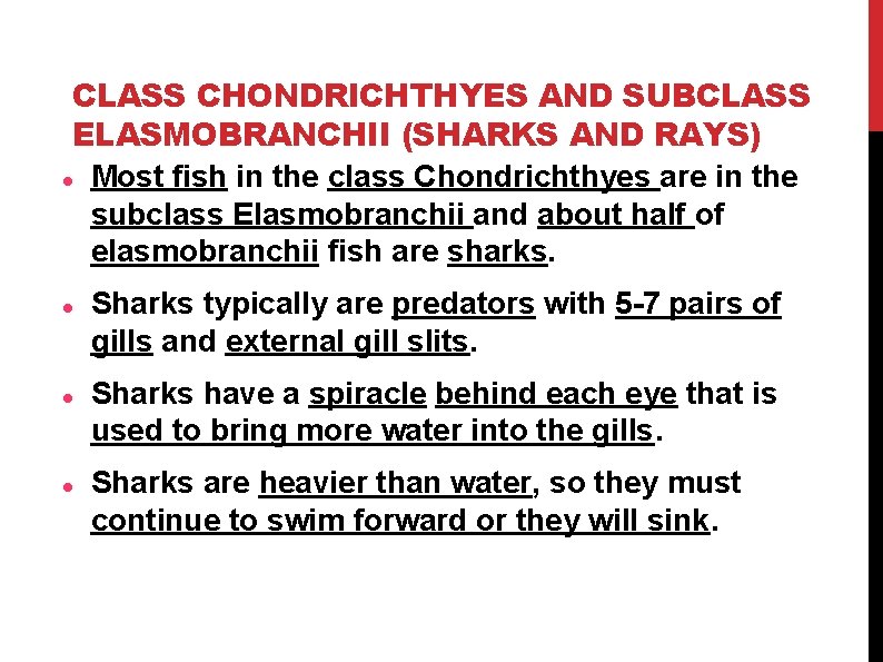 CLASS CHONDRICHTHYES AND SUBCLASS ELASMOBRANCHII (SHARKS AND RAYS) Most fish in the class Chondrichthyes CLASS CHONDRICHTHYES AND SUBCLASS ELASMOBRANCHII (SHARKS AND RAYS) Most fish in the class Chondrichthyes