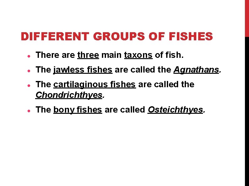 DIFFERENT GROUPS OF FISHES There are three main taxons of fish. The jawless fishes DIFFERENT GROUPS OF FISHES There are three main taxons of fish. The jawless fishes