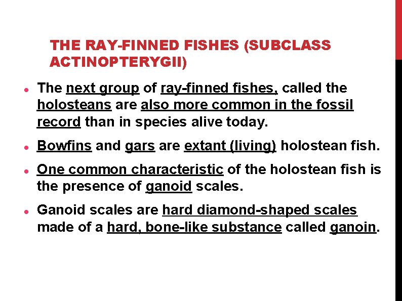 THE RAY-FINNED FISHES (SUBCLASS ACTINOPTERYGII) The next group of ray-finned fishes, called the holosteans THE RAY-FINNED FISHES (SUBCLASS ACTINOPTERYGII) The next group of ray-finned fishes, called the holosteans