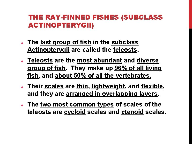 THE RAY-FINNED FISHES (SUBCLASS ACTINOPTERYGII) The last group of fish in the subclass Actinopterygii THE RAY-FINNED FISHES (SUBCLASS ACTINOPTERYGII) The last group of fish in the subclass Actinopterygii