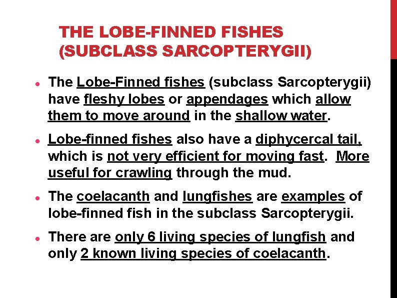 THE LOBE-FINNED FISHES (SUBCLASS SARCOPTERYGII) The Lobe-Finned fishes (subclass Sarcopterygii) have fleshy lobes or THE LOBE-FINNED FISHES (SUBCLASS SARCOPTERYGII) The Lobe-Finned fishes (subclass Sarcopterygii) have fleshy lobes or