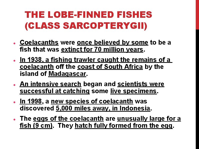 THE LOBE-FINNED FISHES (CLASS SARCOPTERYGII) Coelacanths were once believed by some to be a THE LOBE-FINNED FISHES (CLASS SARCOPTERYGII) Coelacanths were once believed by some to be a