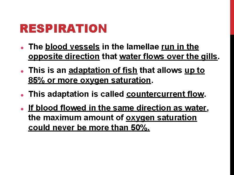 RESPIRATION The blood vessels in the lamellae run in the opposite direction that water RESPIRATION The blood vessels in the lamellae run in the opposite direction that water