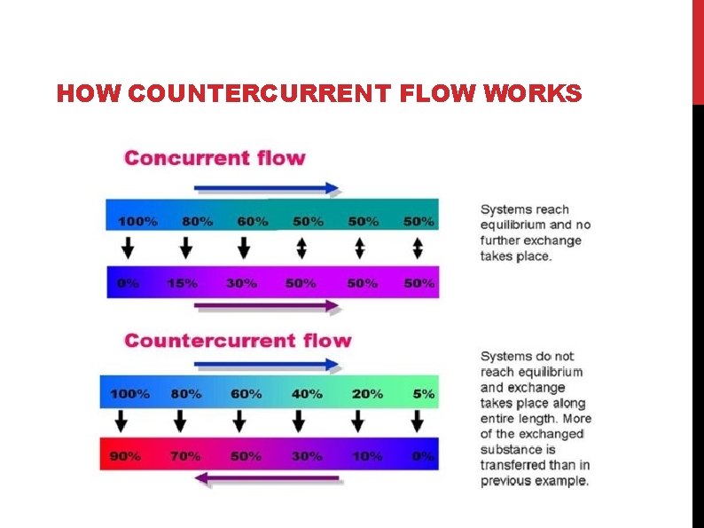 HOW COUNTERCURRENT FLOW WORKS HOW COUNTERCURRENT FLOW WORKS