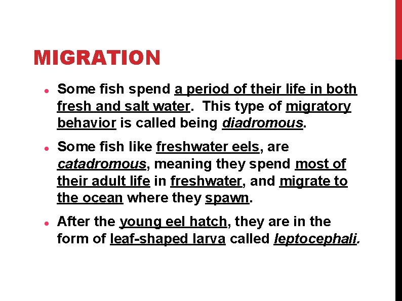 MIGRATION Some fish spend a period of their life in both fresh and salt MIGRATION Some fish spend a period of their life in both fresh and salt