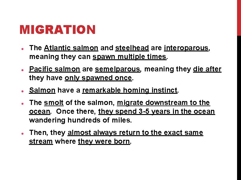 MIGRATION The Atlantic salmon and steelhead are interoparous, meaning they can spawn multiple times. MIGRATION The Atlantic salmon and steelhead are interoparous, meaning they can spawn multiple times.