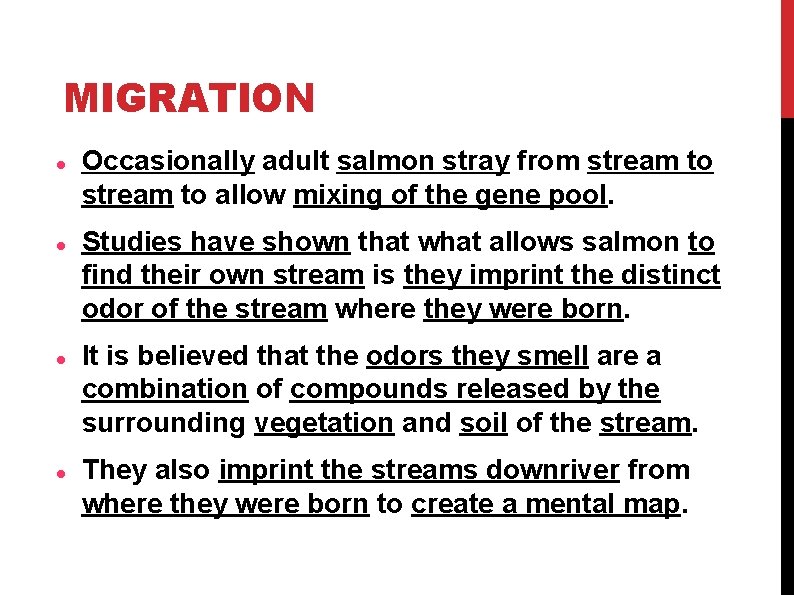 MIGRATION Occasionally adult salmon stray from stream to allow mixing of the gene pool. MIGRATION Occasionally adult salmon stray from stream to allow mixing of the gene pool.